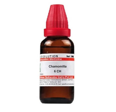 https://cdn.shopify.com/s/files/1/1857/6931/products/KeTrqDuHlQ.jpg?v=1641294882